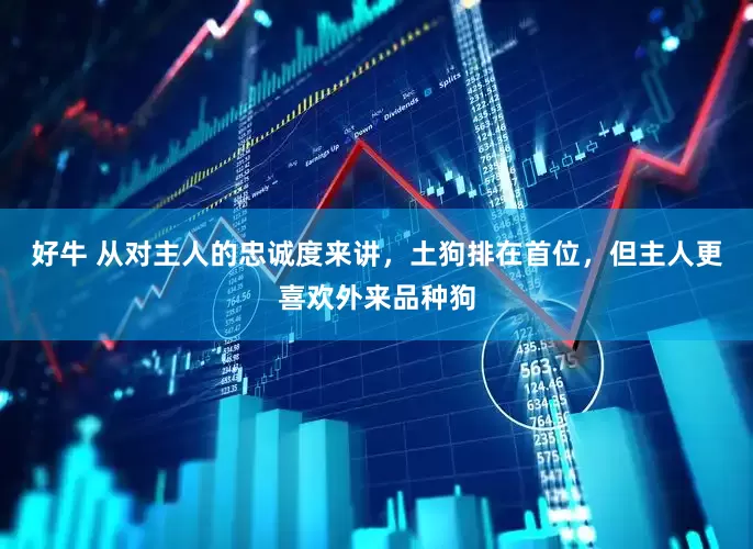 好牛 从对主人的忠诚度来讲，土狗排在首位，但主人更喜欢外来品种狗