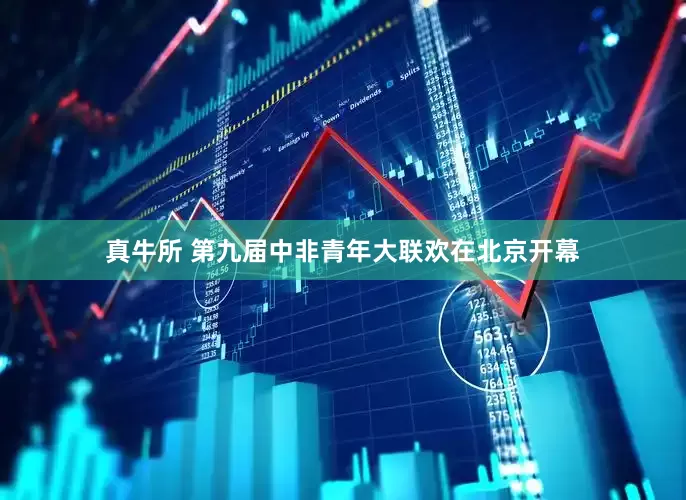 真牛所 第九届中非青年大联欢在北京开幕